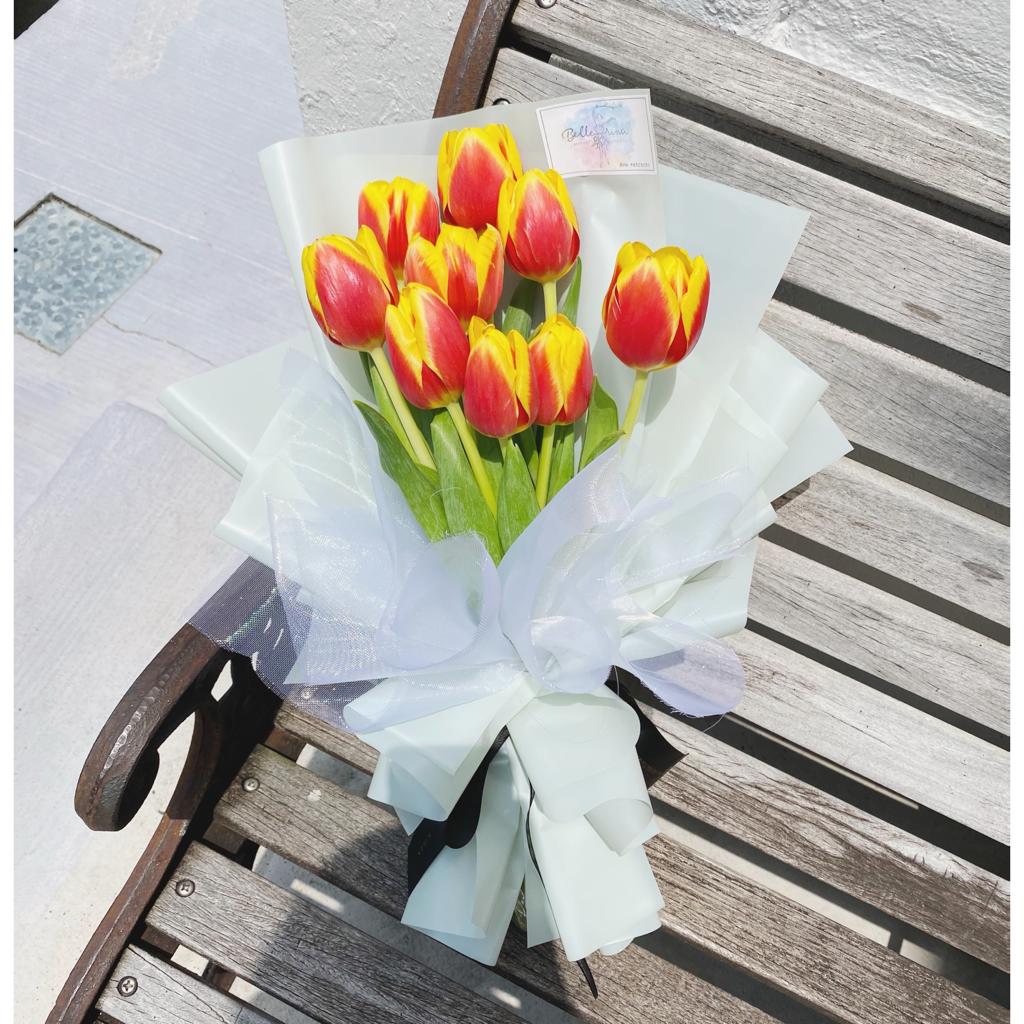 HBQ Tulips Perfect Love